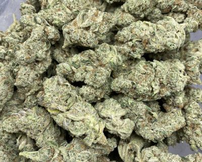 TANGIE COOKIES (EXOTIC SATIVA DEAL) - Image 4